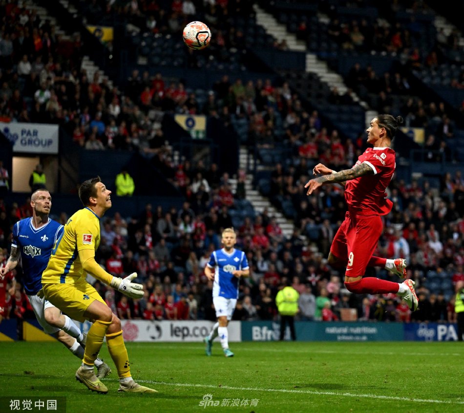 它不仅是斯 它不仅是斯