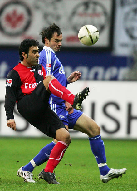 情与实力的 情与实力的